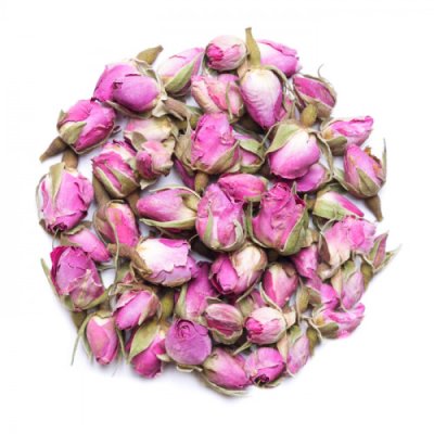 rosebud-500x500-500x500